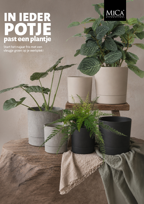 Advertentie MICA